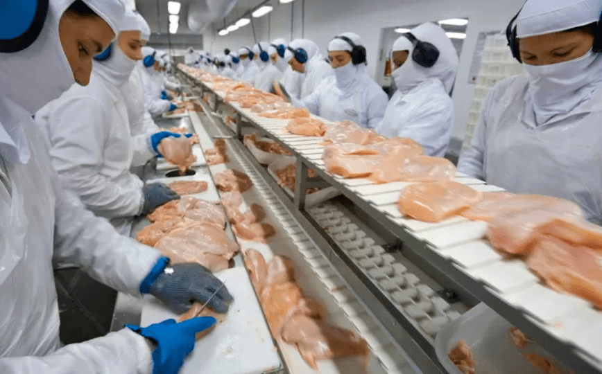 BRF está confiante que crise da gripe aviária acabará em breve