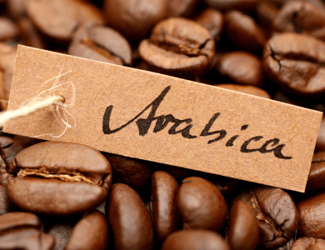 Café Arabica