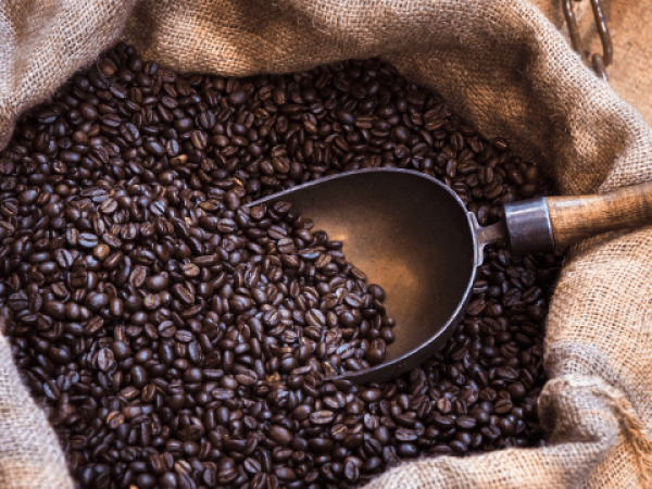 Café Arábica