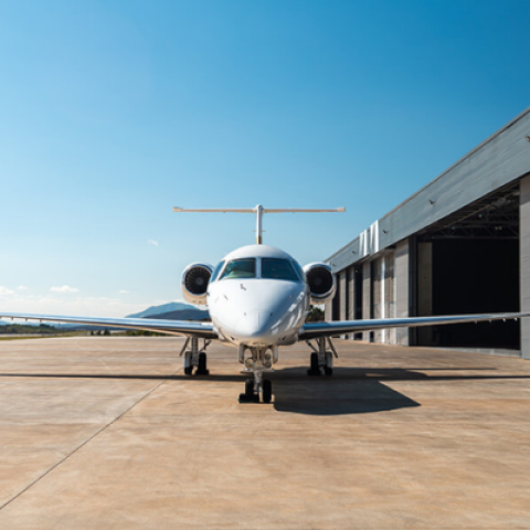 Legacy 650