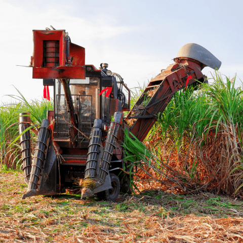 Usina Agroindustrial á Venda