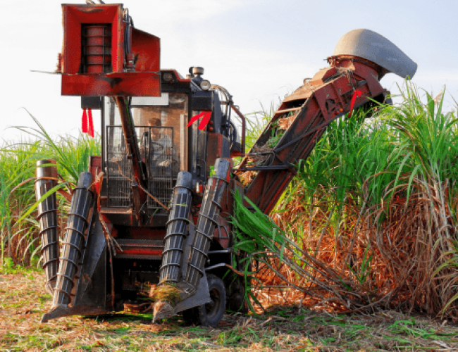 Usina Agroindustrial á Venda