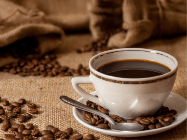 Café Arábica