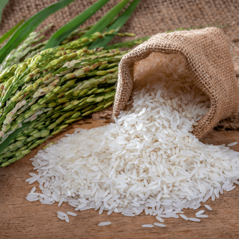 Arroz