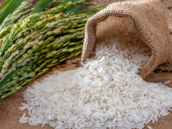 Arroz