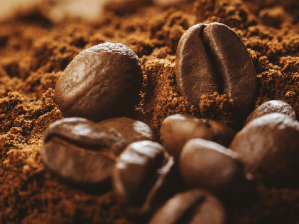 Café Arábica