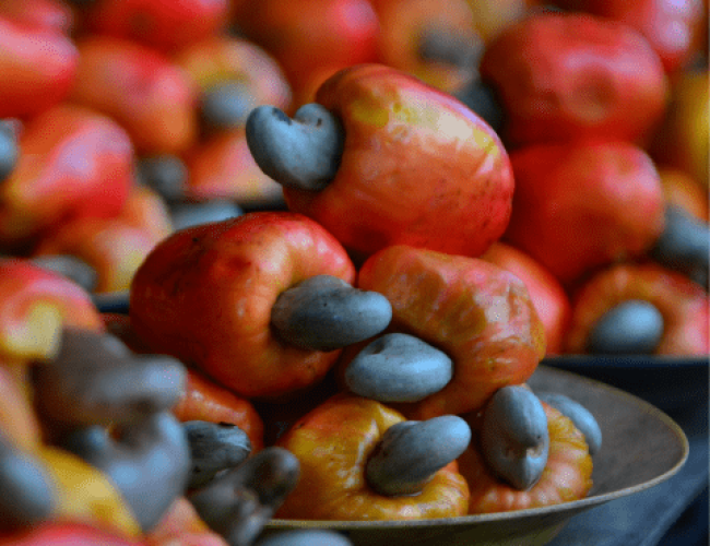 Castanha de Caju